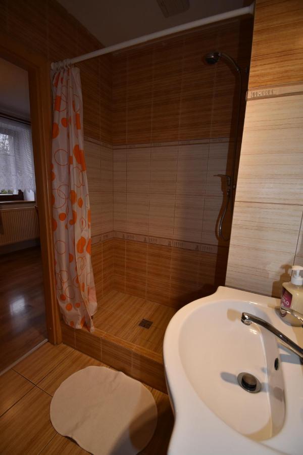 Apartmány Sněženka Destne v Orlickych horach Exterior foto
