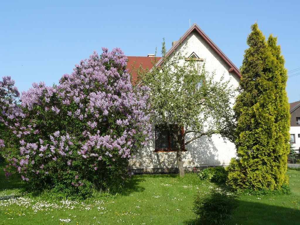 Apartmány Sněženka Destne v Orlickych horach Exterior foto